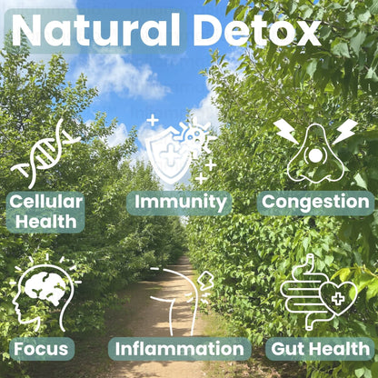 100% Organic 10 in 1 Soursop Synergy Drop | Early Access Black Friday Sale