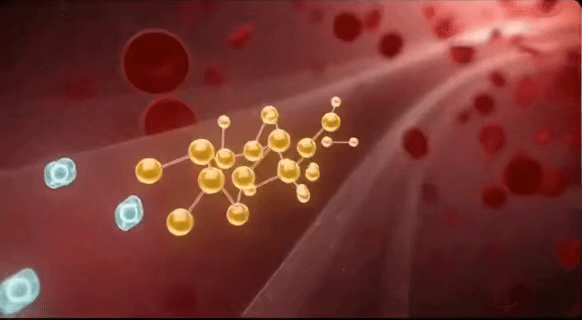 <strong>FUEL</strong>