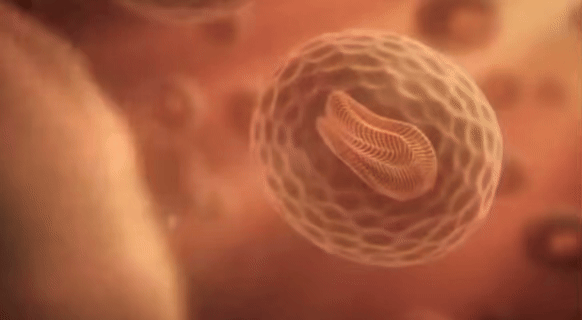 <strong>RESTORE</strong>