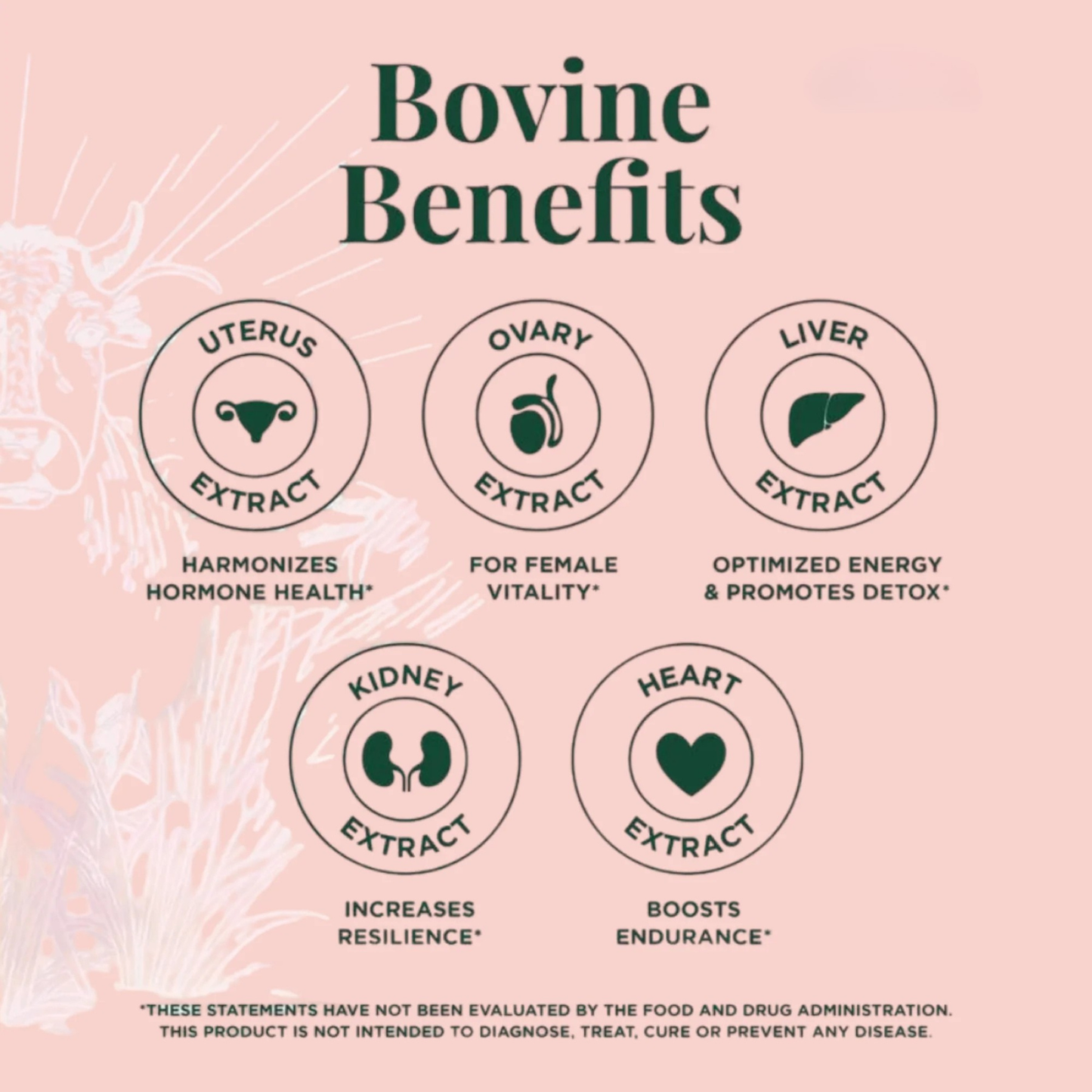 EternaHer - Grass Fed Beef Organ Capsules | Early Access Black Friday Sale