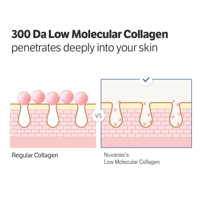 Volufiline-Infused Korean Collagen Serum | Early Access Black Friday Sale